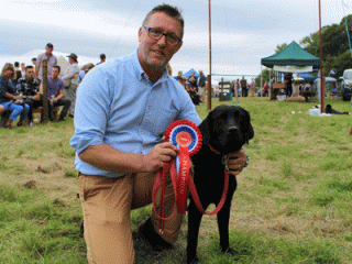 Best Dog in Dog Show