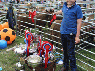Dad's Trophies